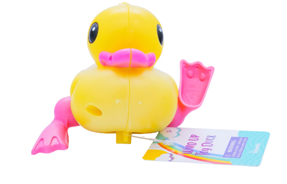 Toysmith Wind Up Toy Duck – Serge+ Jane
