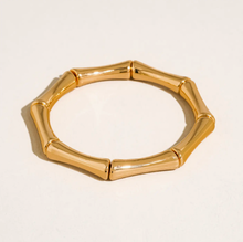 Load image into Gallery viewer, Flanerie Alun 18K Gold Non-Tarnish Bamboo Resin Bangle Set