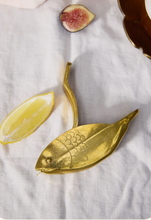 Load image into Gallery viewer, Here's How The Stevie Fish Citrus Juicer