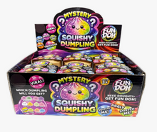 Load image into Gallery viewer, Fun Doh Mystery Dumpling Squishy Toy