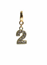 Load image into Gallery viewer, Goldfine Number Lock Charms