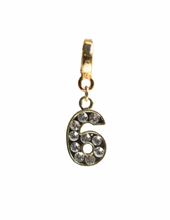 Load image into Gallery viewer, Goldfine Number Lock Charms