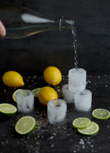 Load image into Gallery viewer, Gentleman's Hardware Shot Glass Ice Mold