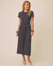Load image into Gallery viewer, Splendid Clementine Dress in Lead