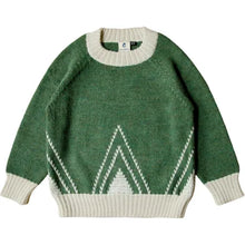 Load image into Gallery viewer, Granelito 100% Baby Alpaca Sweater in Green - FINAL SALE