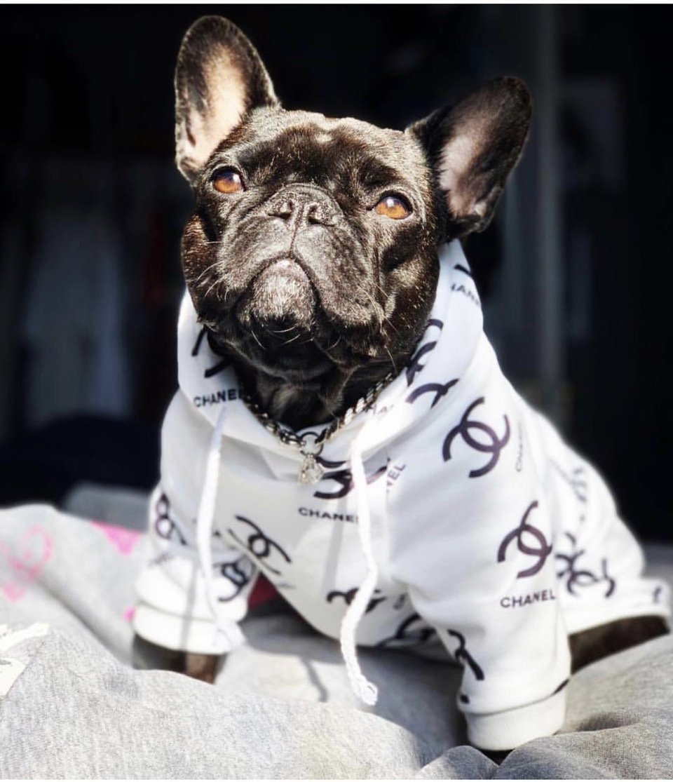 Drippy Pets Chanel Spring Time Hoodie