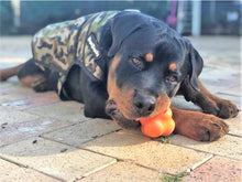 Load image into Gallery viewer, SodaPup Crazy Bounce Chew Toy - Orange/Large
