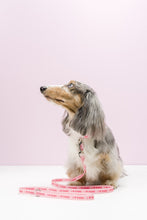 Load image into Gallery viewer, Gummi Pets Slick Lead in Pink