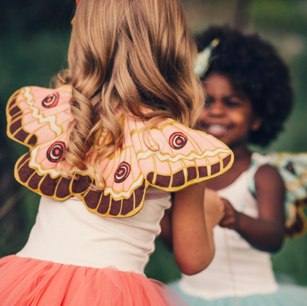 Lovelane Butterfly Wings in Pink