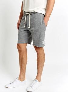 Sol Angeles Mens Essential Short in Heather