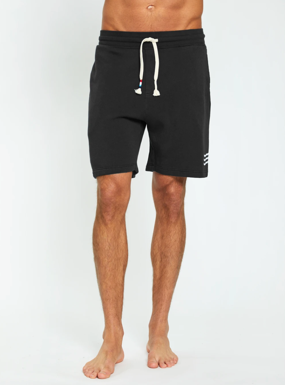 Sol Angeles Mens Waves Short in Vintage Black