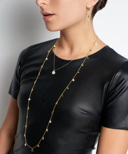 Load image into Gallery viewer, FREIDA ROTHMAN Radiance Linear Drop Earrings