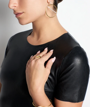 Load image into Gallery viewer, FREIDA ROTHMAN Radiance Pave Bar Front Hoop