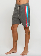 Load image into Gallery viewer, Sol Angeles Mens Stripe Short in Heather - FINAL SALE