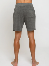 Load image into Gallery viewer, Sol Angeles Mens Stripe Short in Heather - FINAL SALE