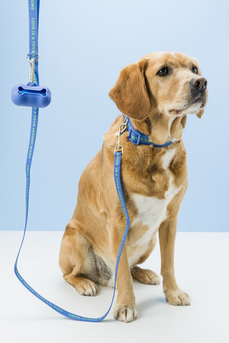 Gummi Pets Slick Lead in Blue