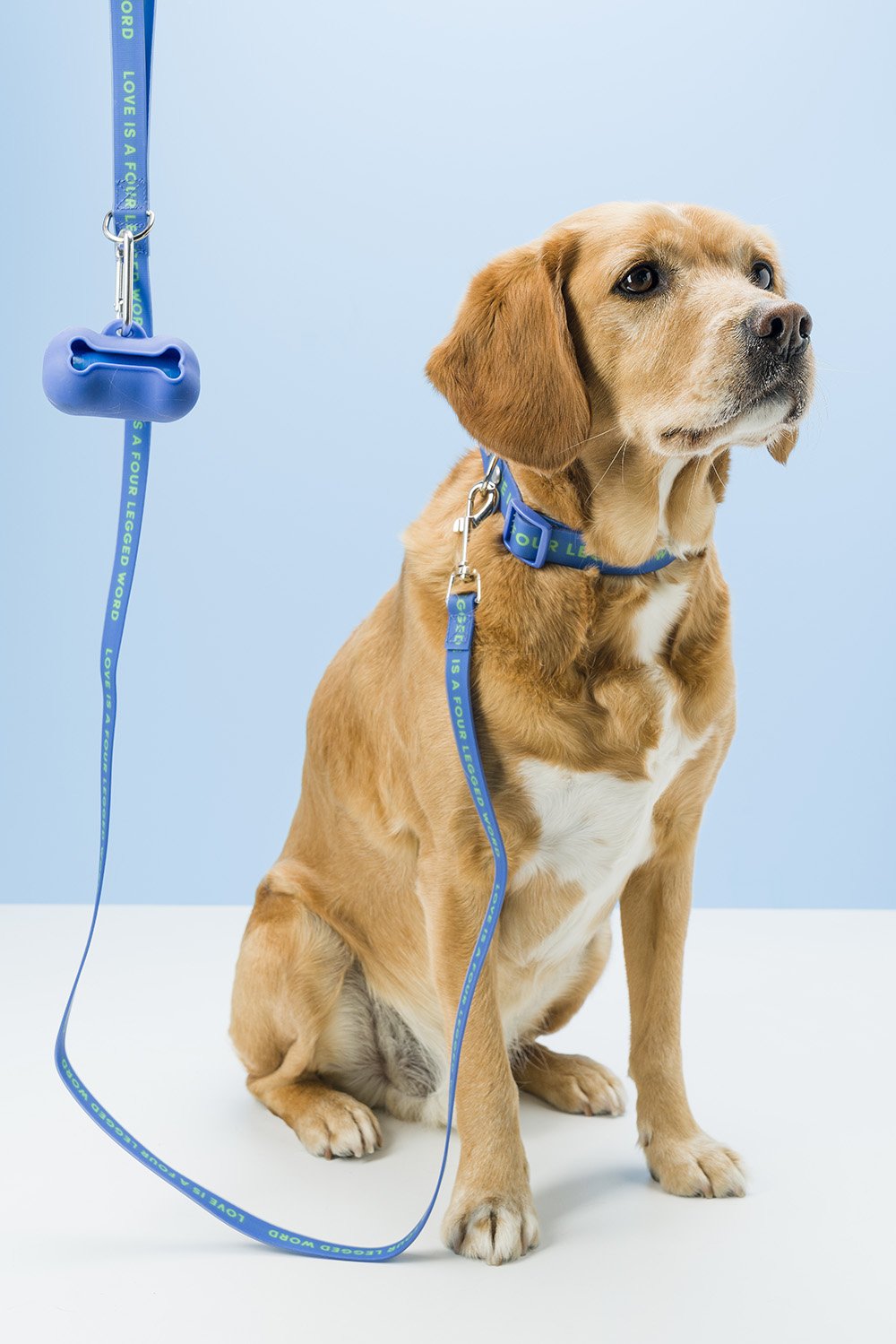 Gummi Pets Slick Lead in Blue