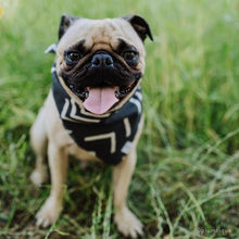 Load image into Gallery viewer, The Foggy Dog Bandana