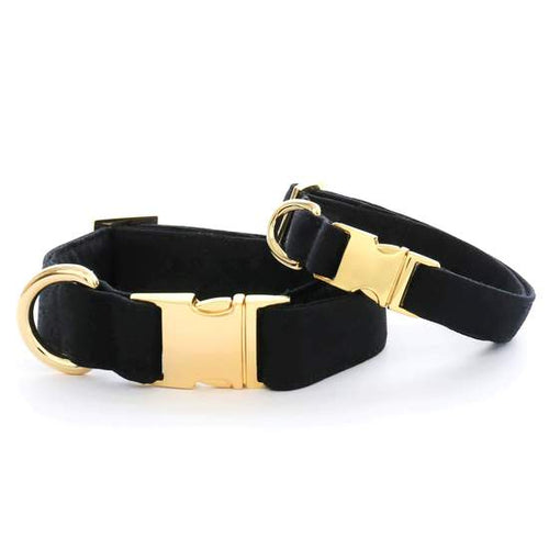 The Foggy Dog Collar