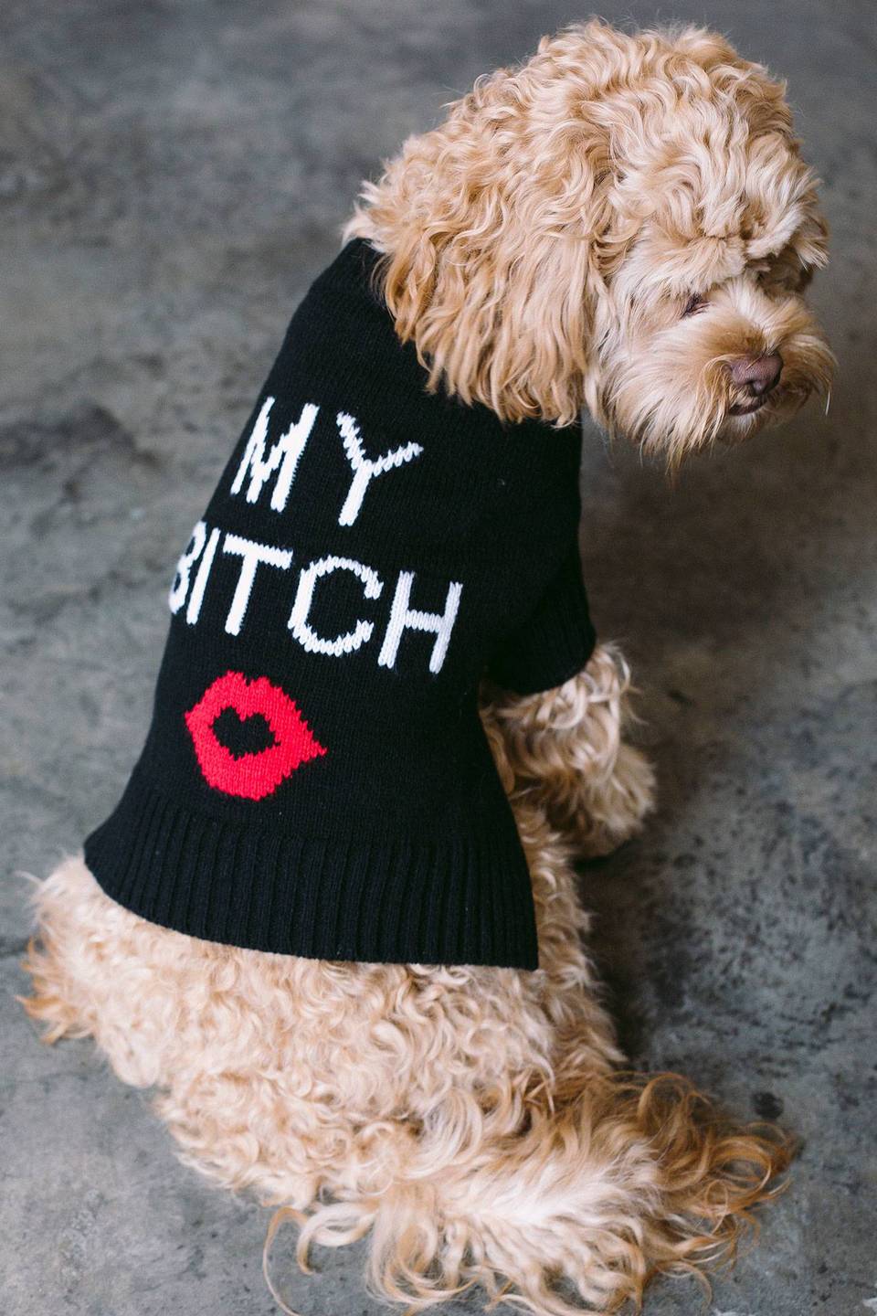 Skull Dog - My Bitch Supersoft Doggy Sweater