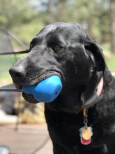 Load image into Gallery viewer, SodaPup ID Double Trouble Chew Toy/Treat Dispenser - Large/Blue